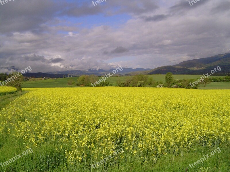 The Cerdanya Girona Spain Free Photos