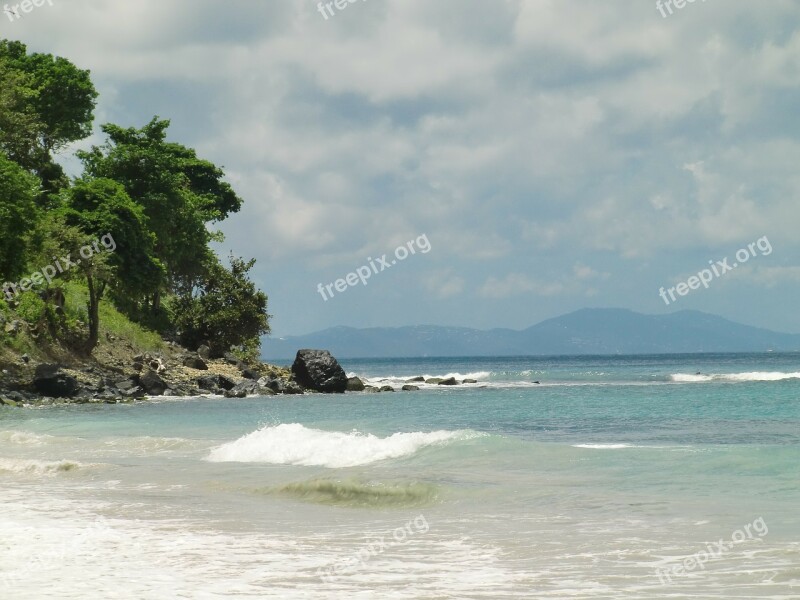 Beach Palm Trees Vacations Tropical Summer