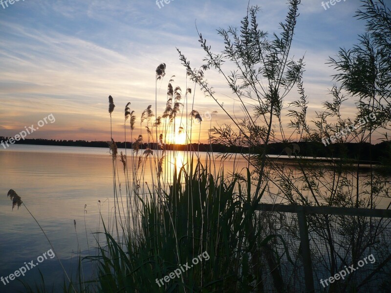 Windebyer Noor Abendstimmung Water Free Photos