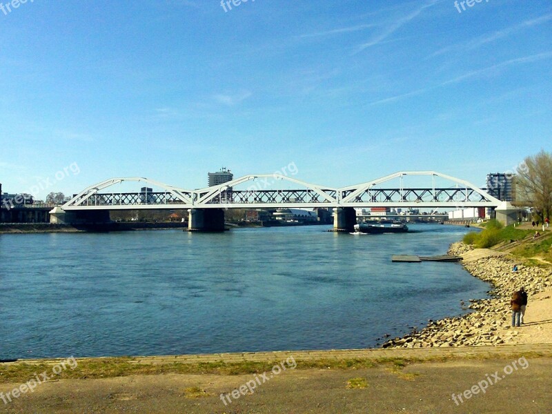 Rheinbrücke Rhine River Landscape Ludwigshafen Free Photos