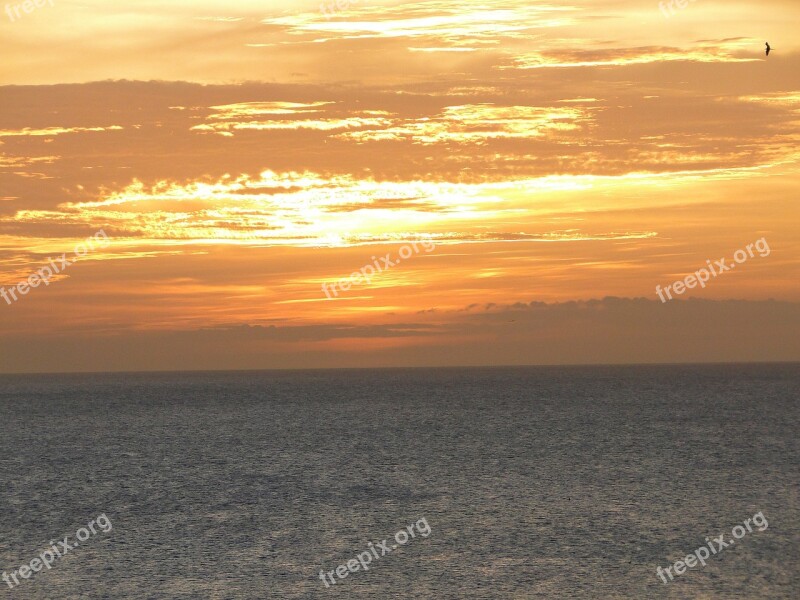 Sunset Horizon Ocher Sea Yellowish