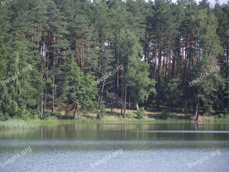 Lake Masuria Ducks Water Pond