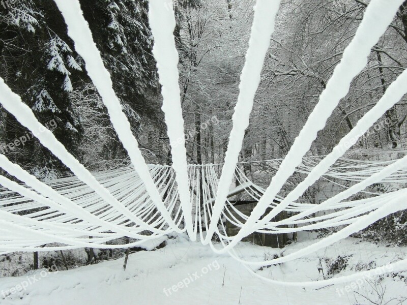 Snow Wires Iced Winter Free Photos