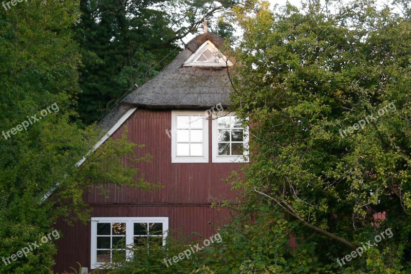 Country House Woodhouse Summer Thatched Roof East Frisia