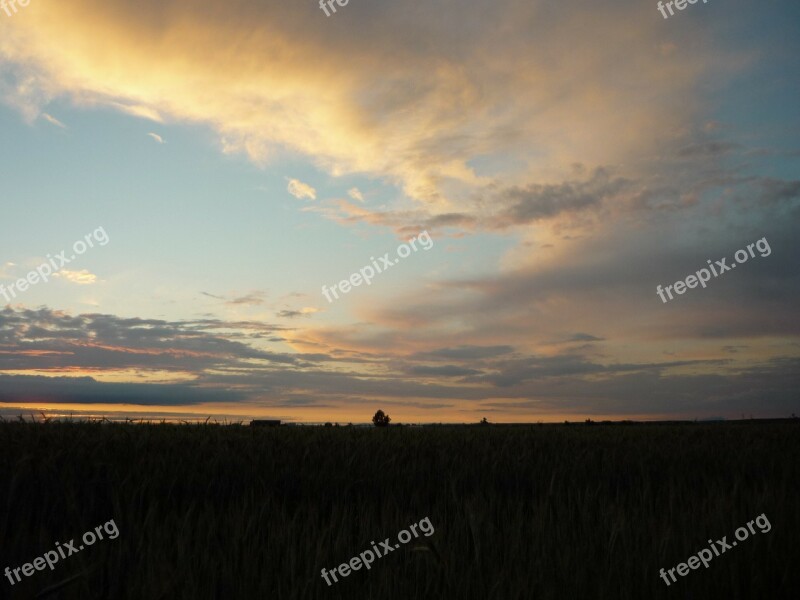 Badajoz Field Sky Clouds Nature