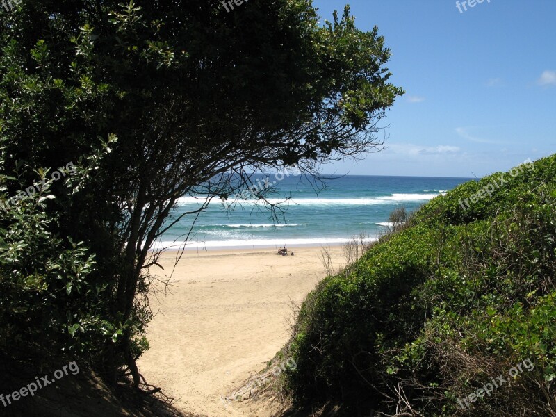 Cape Vidal Africa Beach Green Free Photos