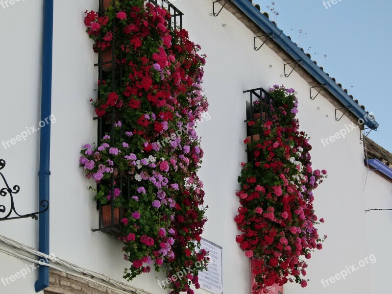 Cordoba Spain House Building Flowers