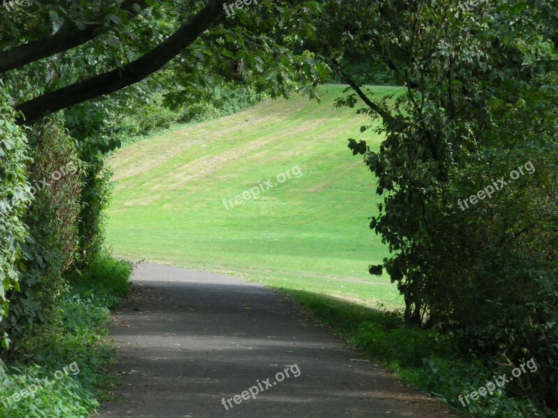 Cologne Park Meadow Green Free Photos