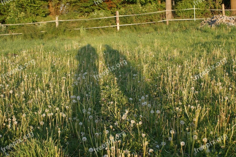 Shadow Light Outline Pair Shadow Play