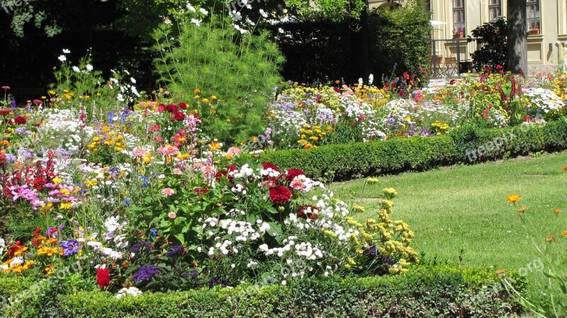 Garden Of Residence Würzburg Garden Flowers Free Photos