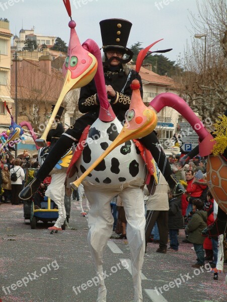 South Of France Folklore Ste Maxim Mimosa Festival