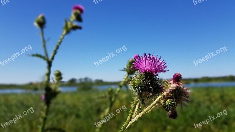 Beginning Of Summer Breathe Color Vacations Waters