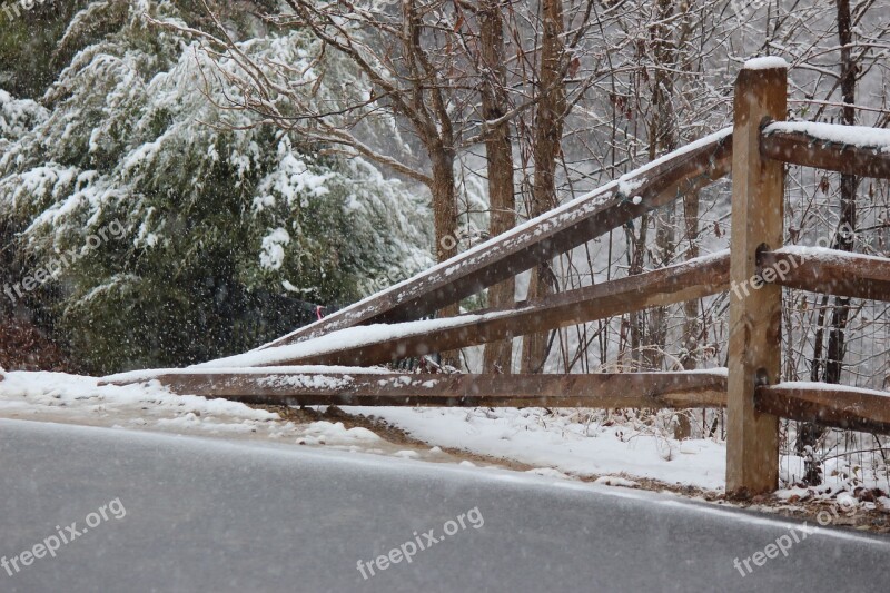 Fence Tree Snow Landscape Trees