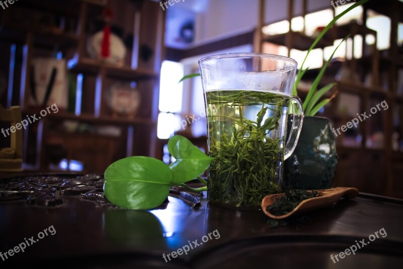 Green Tea Tea Tea Ceremony Free Photos