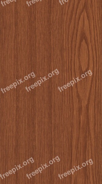 Wood Texture Pattern Structure Brown