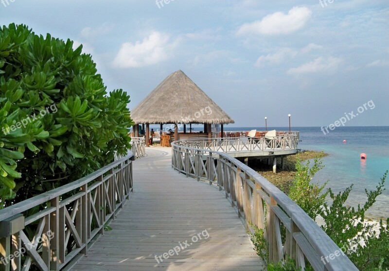 Maldives Islands Tropical Beach Bar