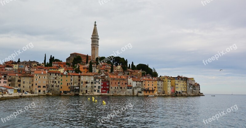 Rovinj Historic Center Port Maritime Free Photos