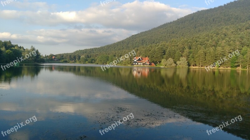 Pond Lake Forest Bolu Panoramic