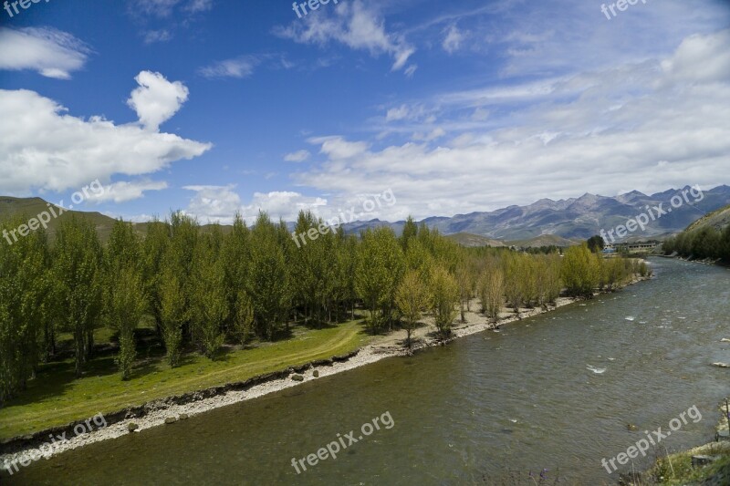 River Willow Blue Sky Free Photos