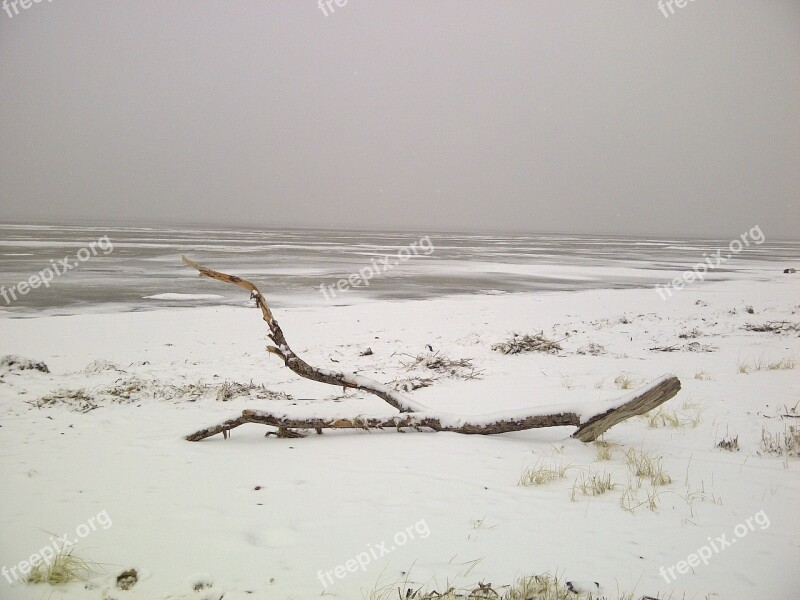 Winter North Sea Ice Nordfriesland Beach