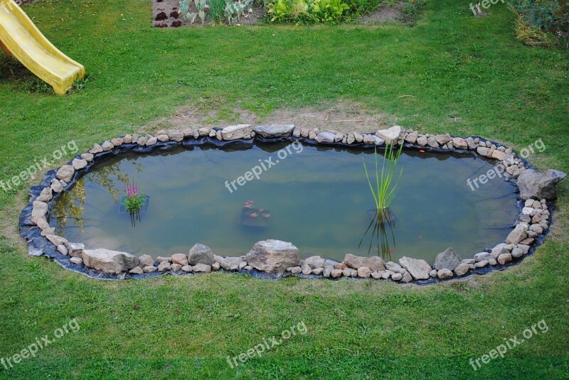 Pond Garden Water Free Photos