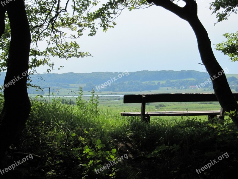 Bank Log Meadow Rest Relax