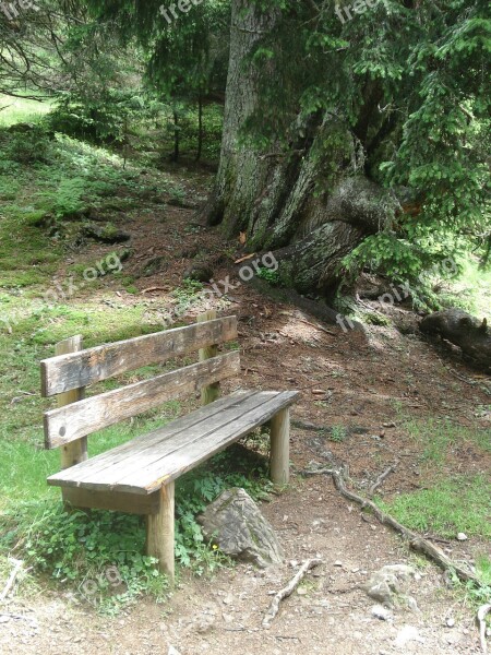 Nature Bank Wooden Bench Rest Peace