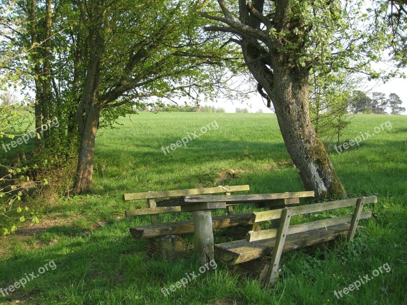 Cozy Rest Nature Bank Wood