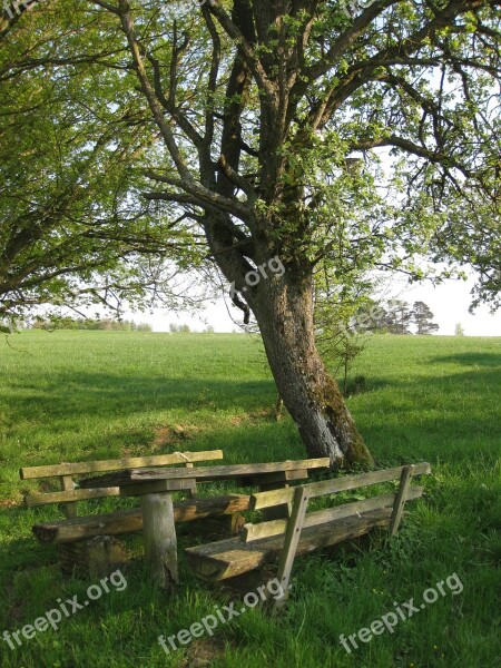 Cozy Rest Nature Bank Wood