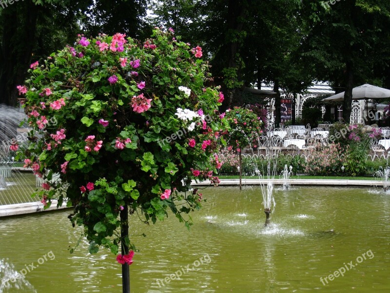 Denmark Tivoli Fountain Flowers Tree