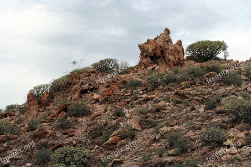 Tenerife Landscape Rock Stones Bizarre