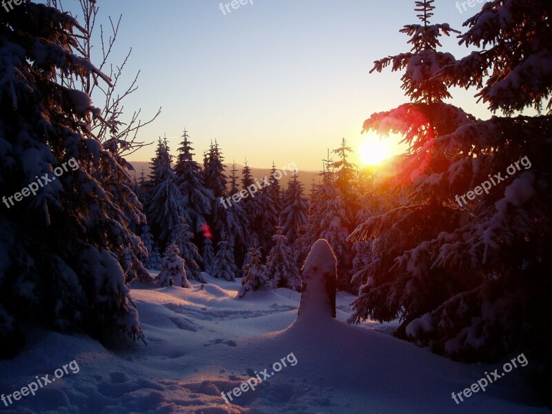 Winter Sun Wintry Cold Free Photos