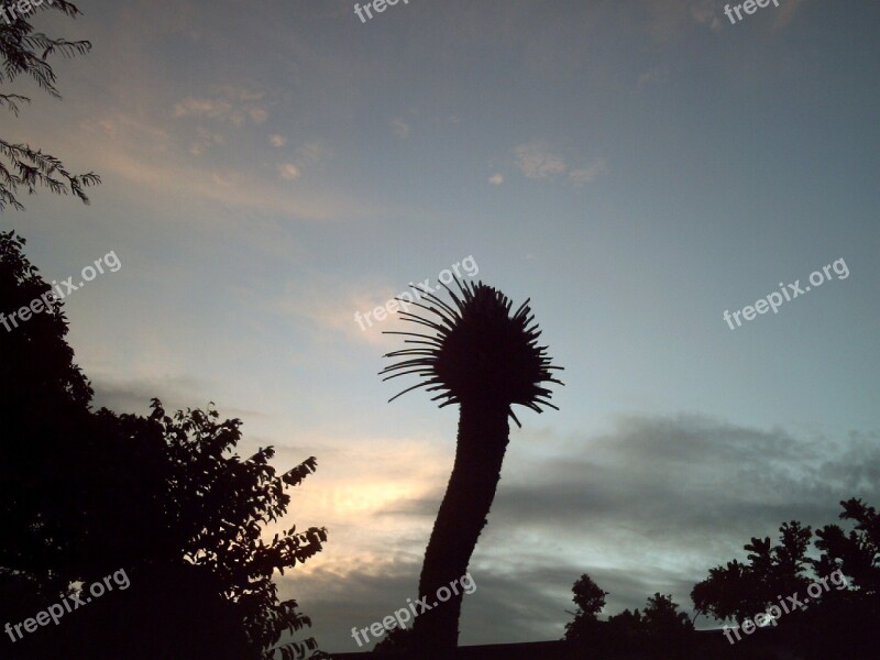 Venezuela Sky Clouds Trees Nature