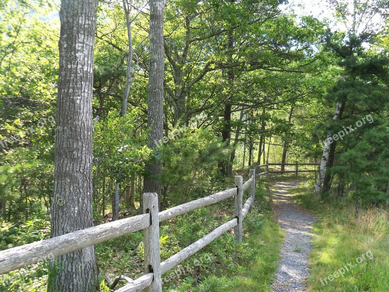 Path Paths Trail Trails Hike