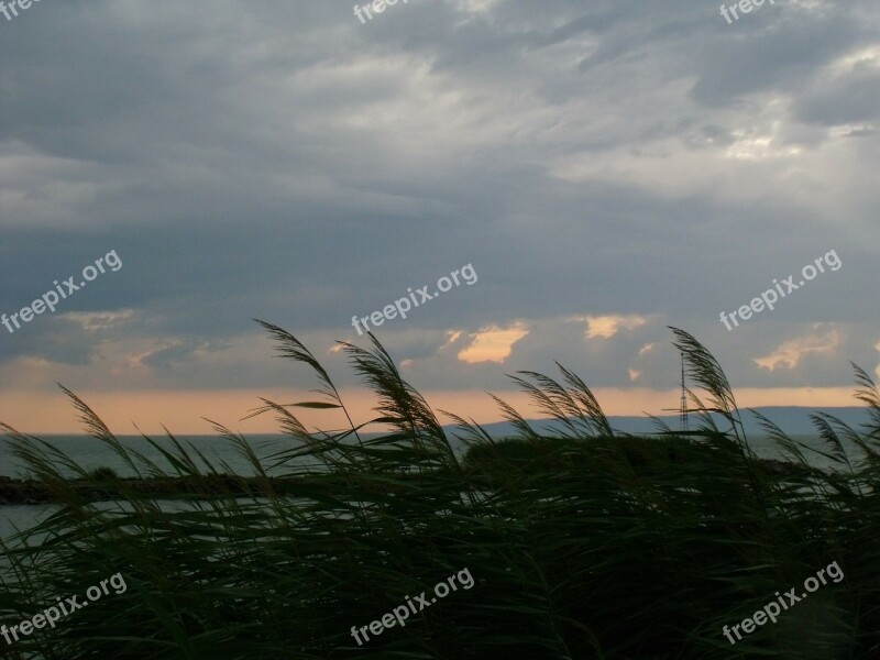 Reed Lake Balaton Naplemenete Free Photos