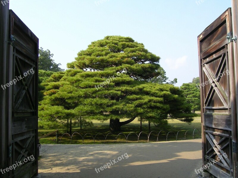 Japan Kyoto Garden Free Photos