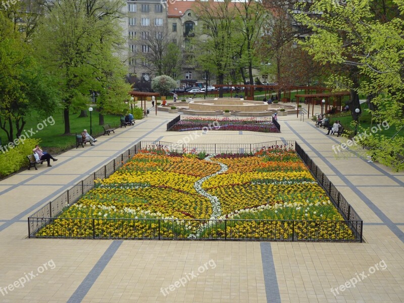 Spring Flowers Grove Park Resting