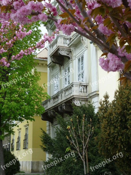 Promo House Balcony Blooming Wood