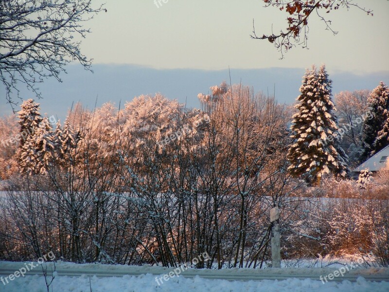 Wintry Winter Winter Mood Winter Light Winter Dream