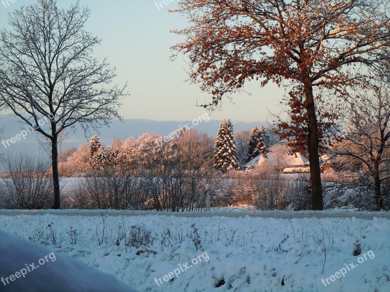 Wintry Winter Winter Mood Winter Dream Snow