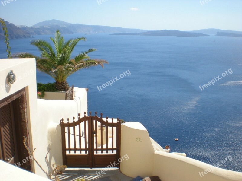 Santorini Greek Island Greece Marine Flowers