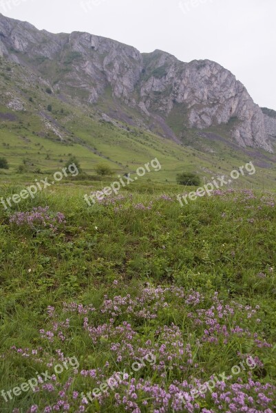 Transylvania Romania Landmark Landscape Mountain