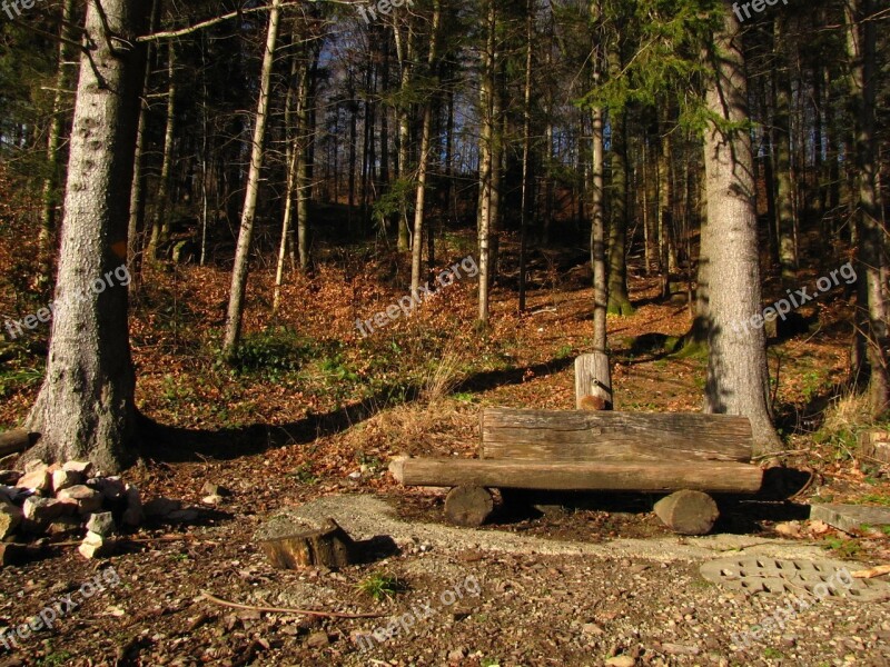 Pad Fountain Forest Wood Water