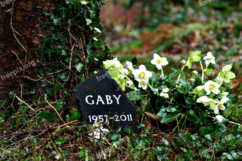 Burial Cemetery Mourning Old Cemetery Graves