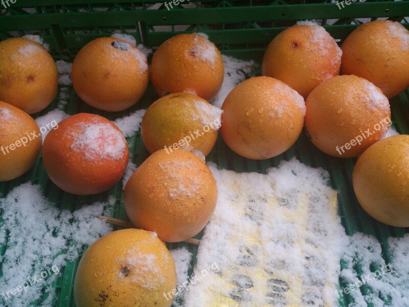 Oranges Orange Snow White Fruit