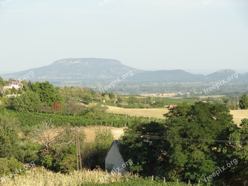 Landscape Lake Balaton Badacsony Grape Free Photos