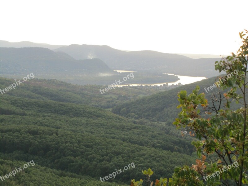 Forest River Danube Water Landscape