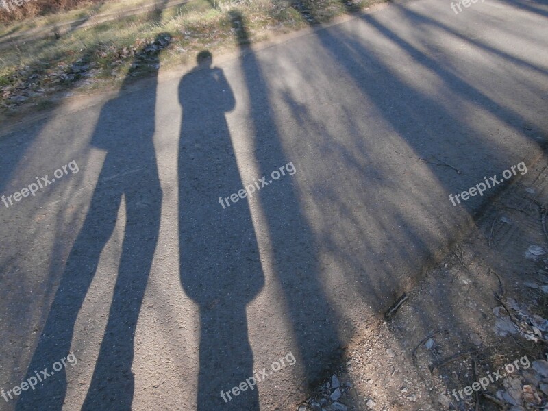 Shadow Light And Shadow Shadow Play Vertical Free Photos