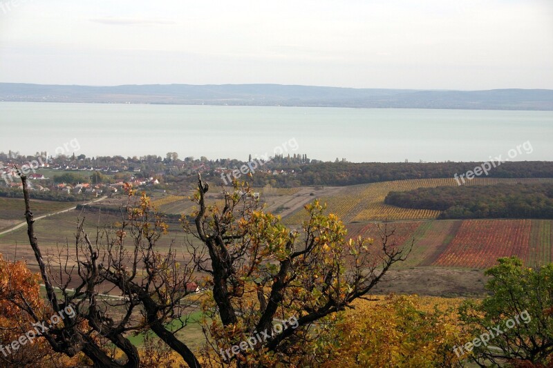 Vista Lake Balaton Hegyestűről Free Photos