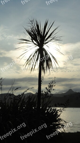 Palm Clouds Beach Exotic Tropical